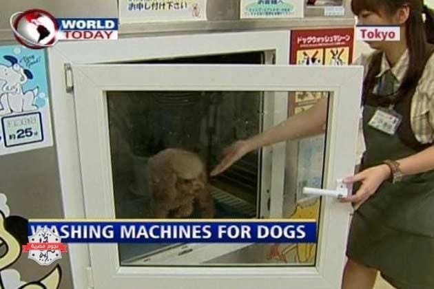 555