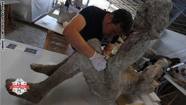 A restorer works on a petrified victim of the eruption of Vesuvius volcano in 79 BC، as part of the restoration work and the study of 86 casts in the laboratory of Pompeii Archaeological Site، on May 20، 2015 in Pompeii. AFP PHOTO / MARIO LAPORTA (Photo credit should read MARIO LAPORTA/AFP/Getty Images)