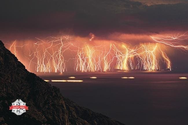 صور حقيقية لا تصدق