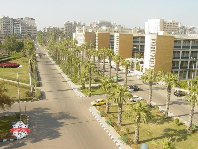 جامعة المنصورة