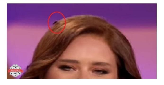 نيللي كريم
