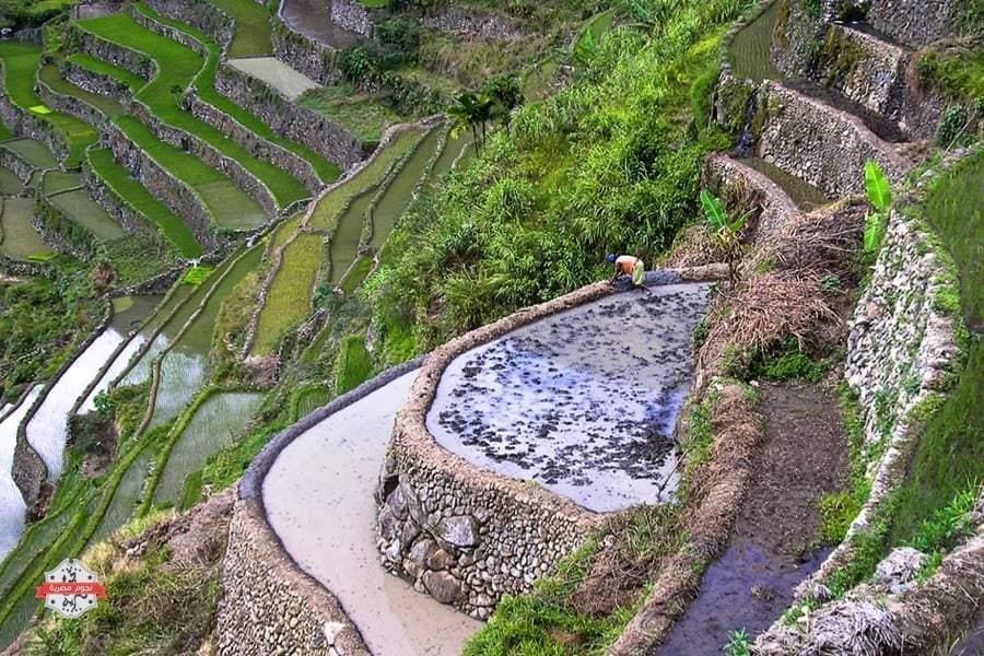 rice-terraces-stone-walls