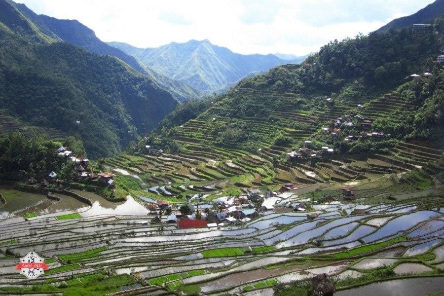 rice-terraces-world-heritage
