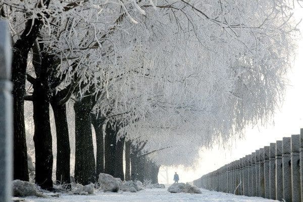 Chinese residents walk under rows of trees with iced branches along the riverbank in Jilin، northeast China's Jilin province on March 4، 2012. China said that two-thirds of its cities currently fail to meet new air-quality standards recently introduced that are based on the pollutants most harmful to health، and the cities will have four years to get their pollution levels down to the new limits، which cover levels of ozone and particulates measuring 2.5 micrometres or less، known as PM 2.5. CHINA OUT AFP PHOTO