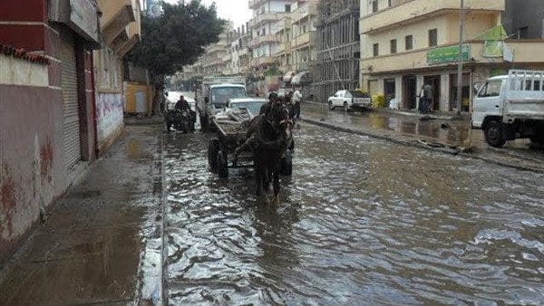 محافظة الاسكندرية