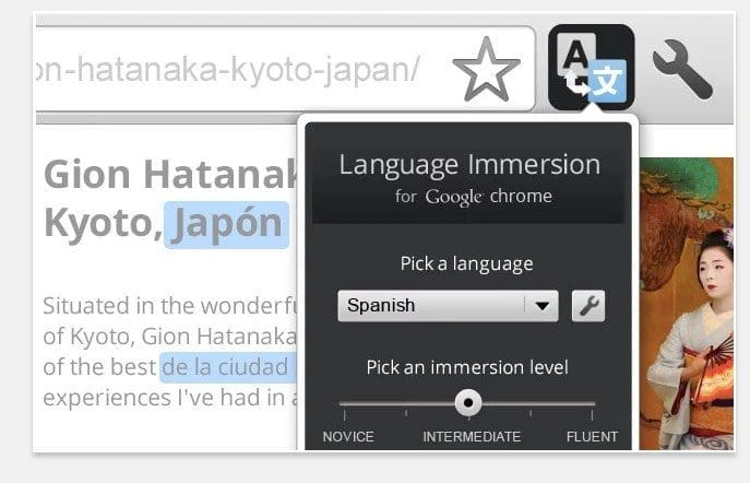 إضافة Language Immersion for chrome