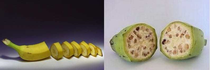 modern-banana