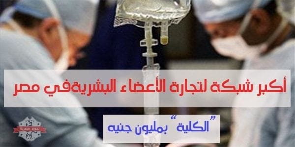 شبكة دولية لتجارة الأعضاء البشرية