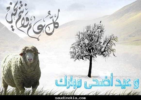 عيد الاضحي