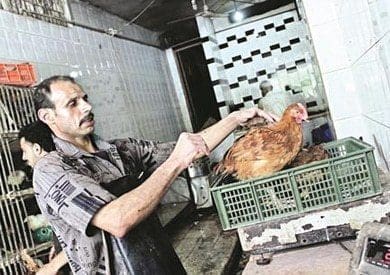 أسعار الدواجن واللحوم والخضروات 