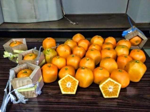 البرتقال الخماسى