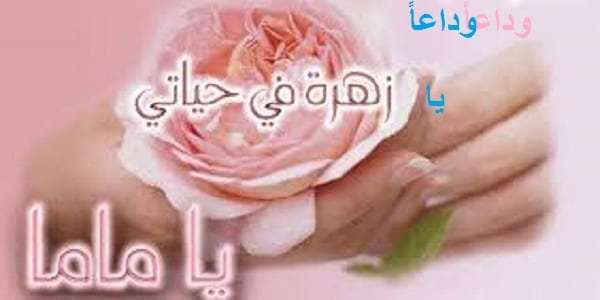 هدية الأب في عيد الأم