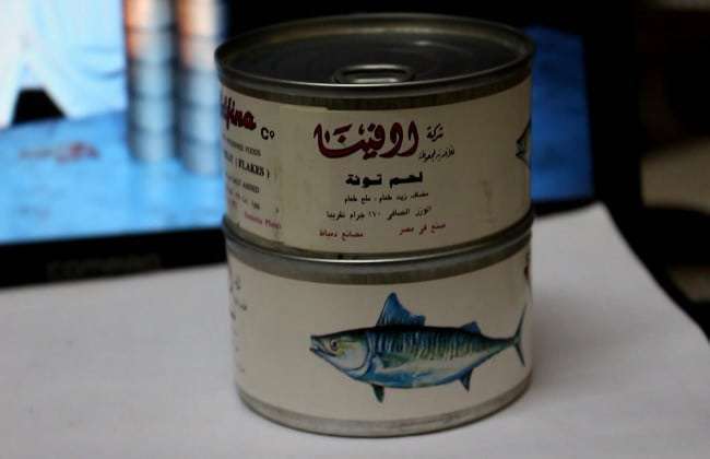 مصنع إدفينا