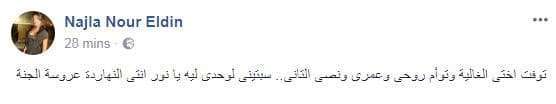 وفاة الفنانة نورلين بعد اصابتها البالغه في حادث داليا التوني