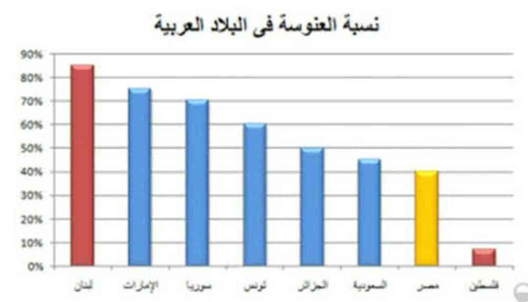 صورة 1