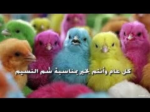 الاحتفال بشم النسيم