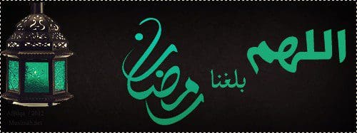 صورة 9