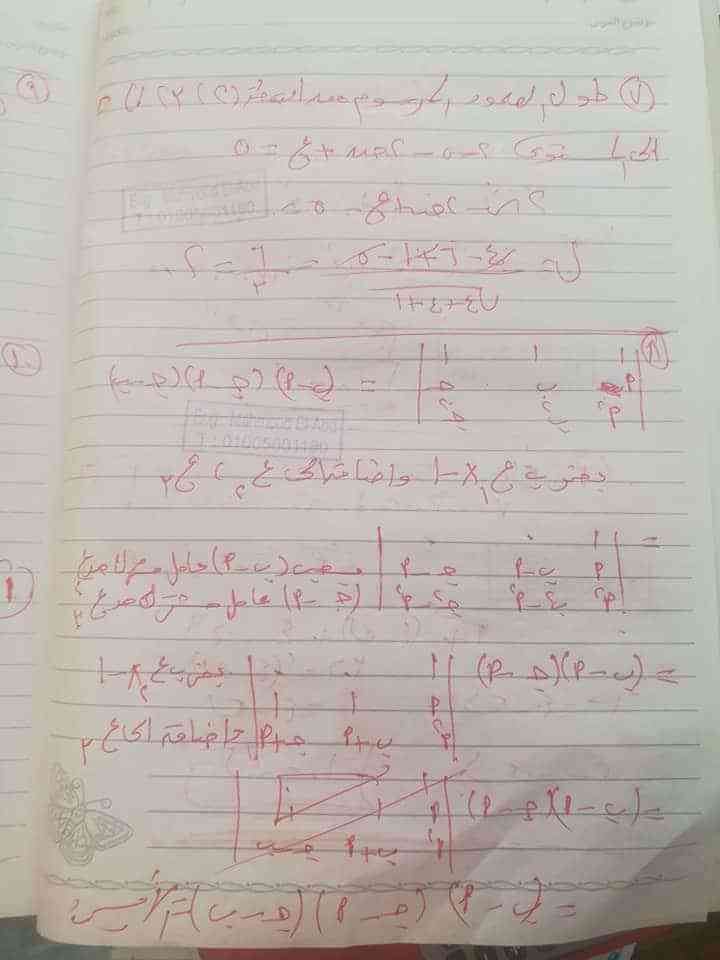 صورة 6