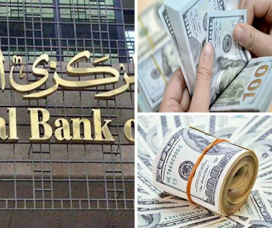 سعر الدولار اليوم