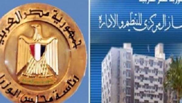 التنظيم والادارة