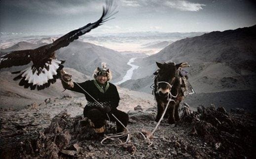 تدريب النسور