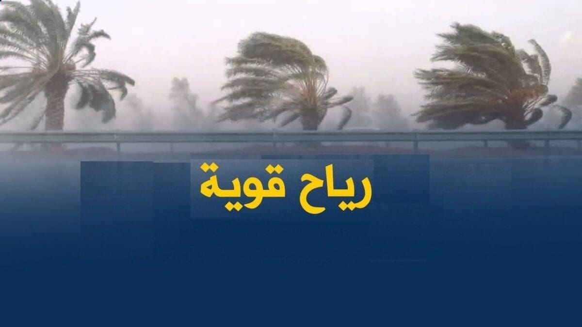 حالة الطقس في مصر