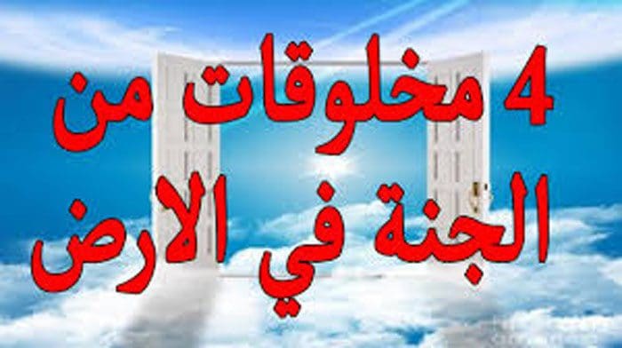 الحجر الأسود