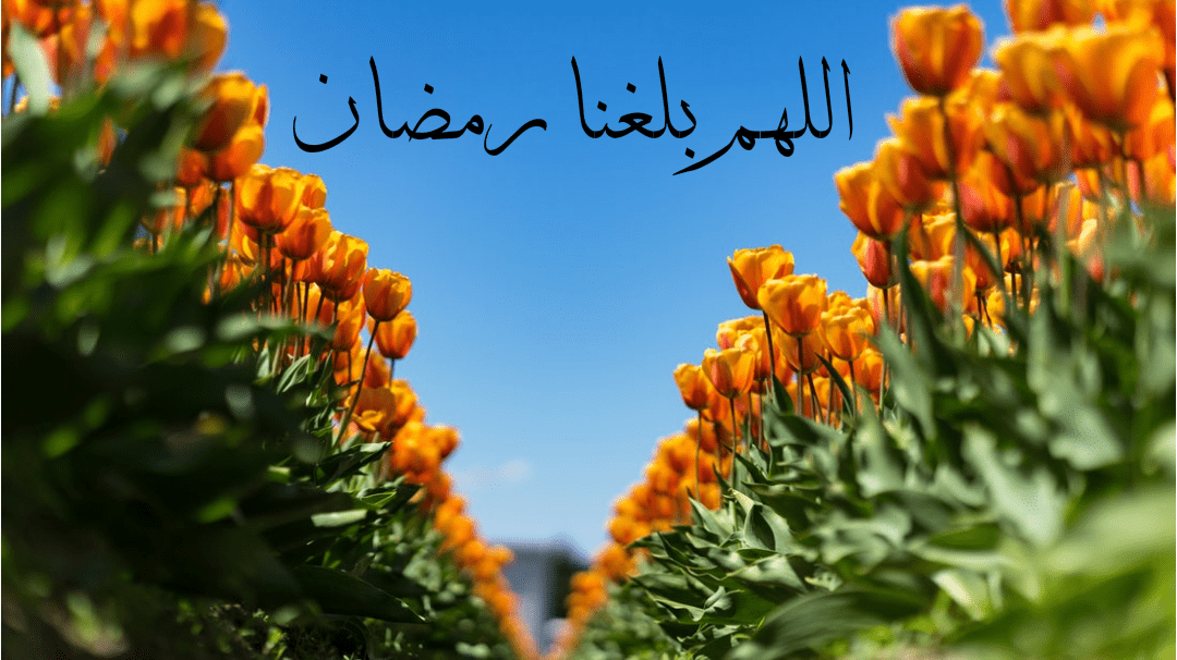 صور اللهم بلغنا رمضان