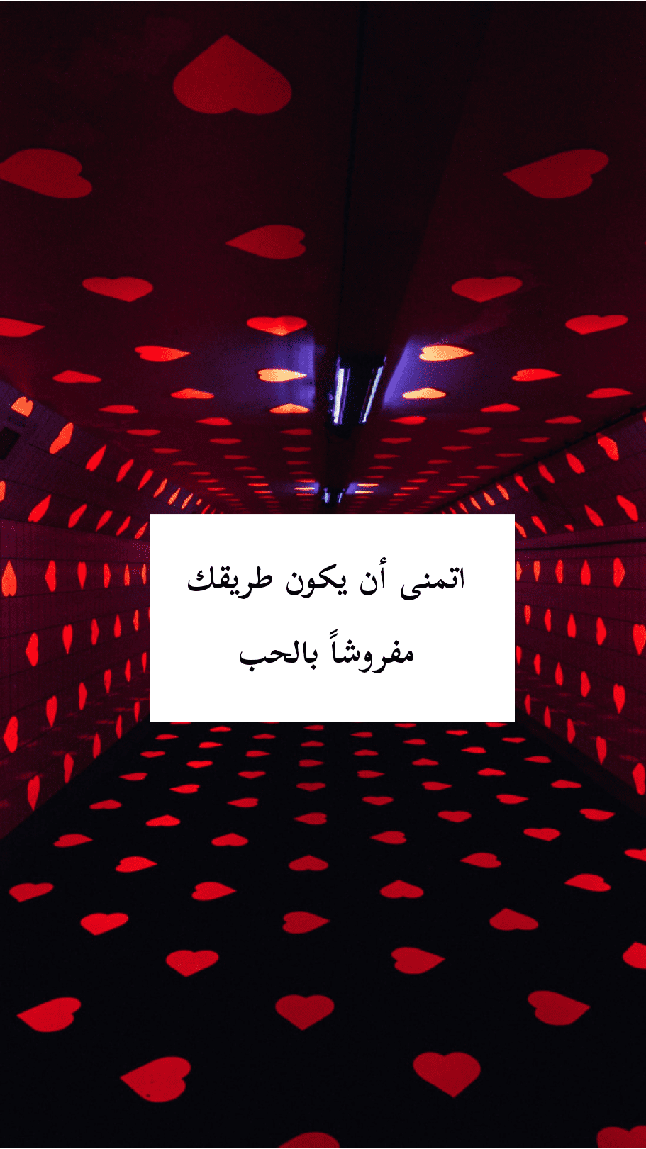 أقوى الصور الرومانسية 