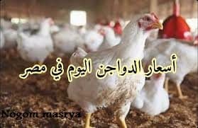 سعر الفراخ اليوم