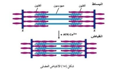 صورة 72