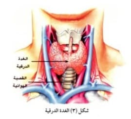 صورة 68