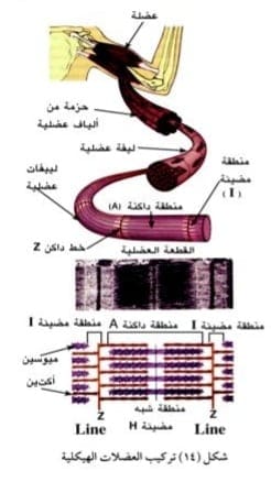 صورة 73