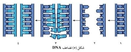 صورة 45