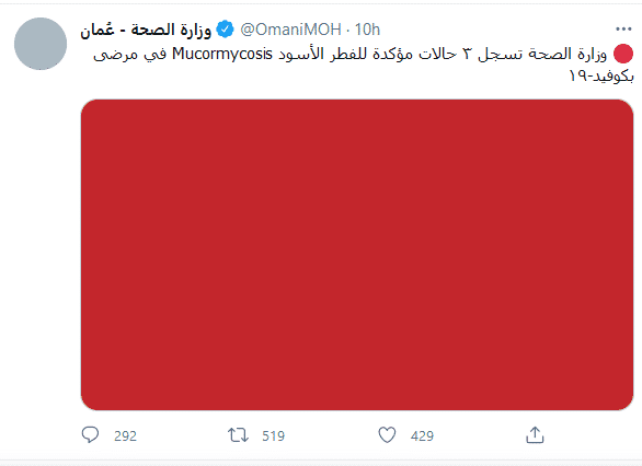 الفطر الاسود