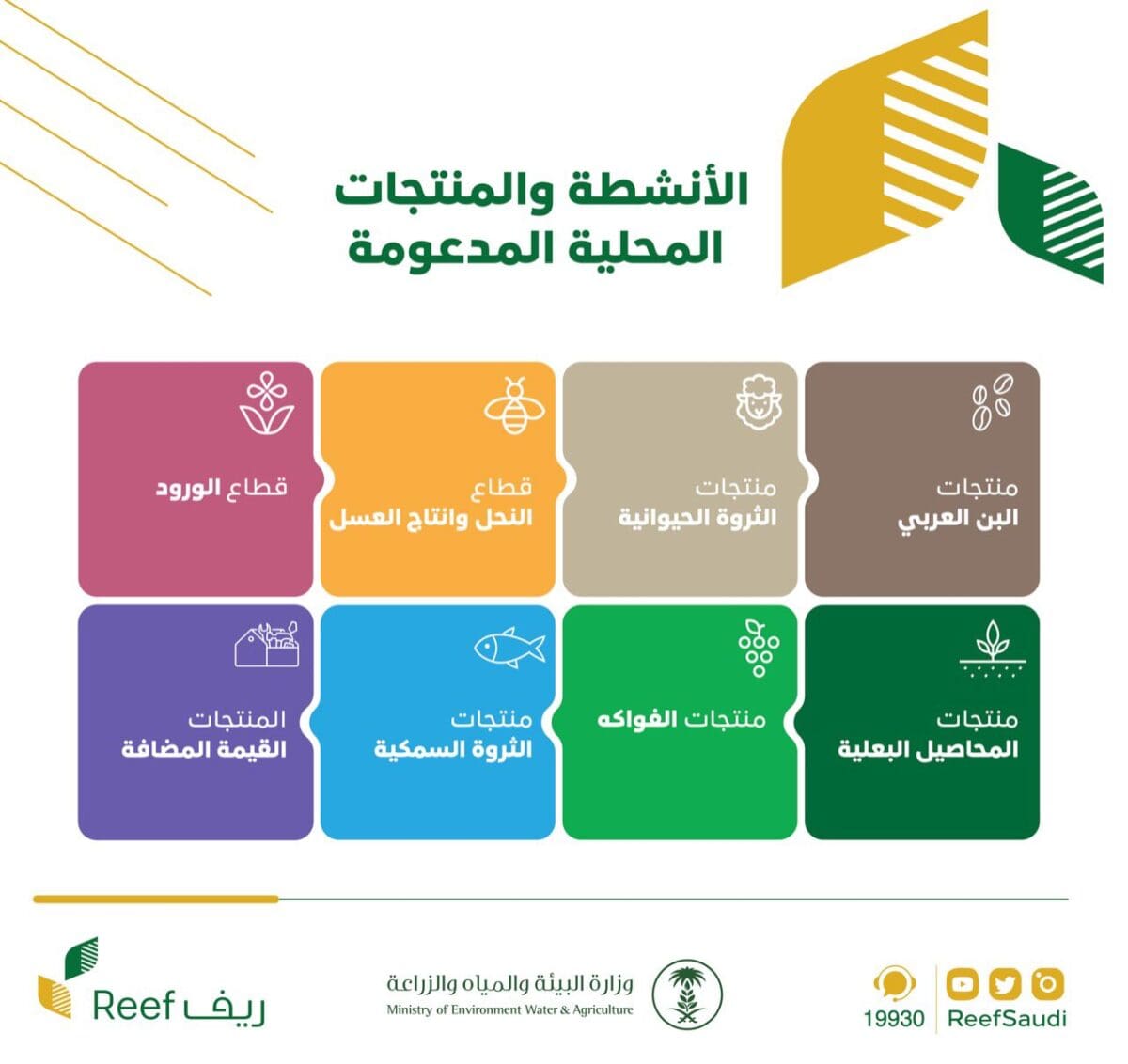 برنامج ريف.. طريقة التسجيل والشروط والفئات المستهدفة للحصول على الدعم المادي