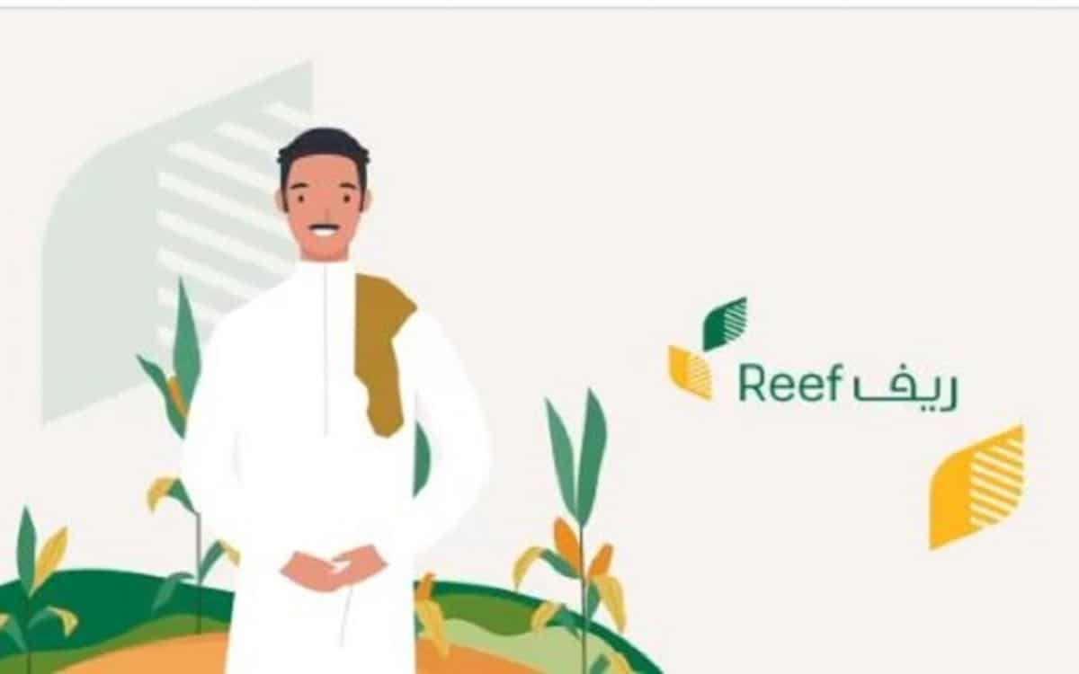 برنامج ريف.. طريقة التسجيل والشروط والفئات المستهدفة للحصول على الدعم المادي