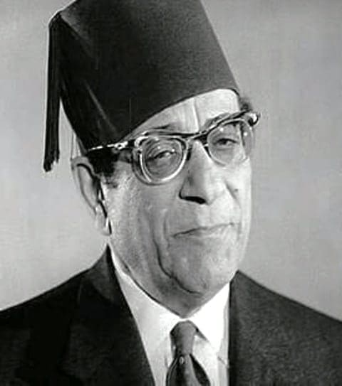 حامد مرسى