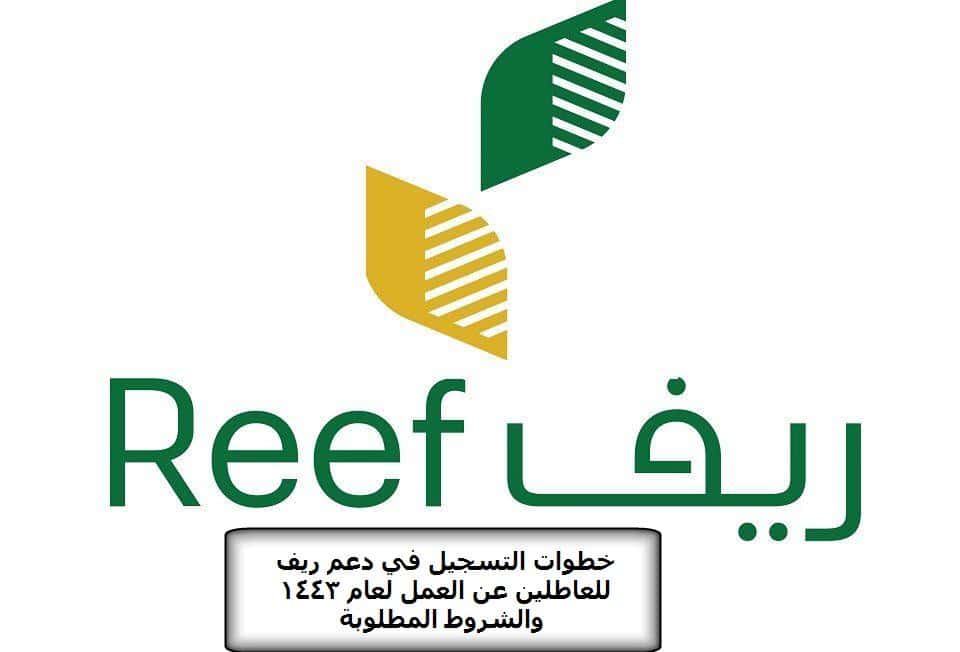 دعم ريف للعاطلين