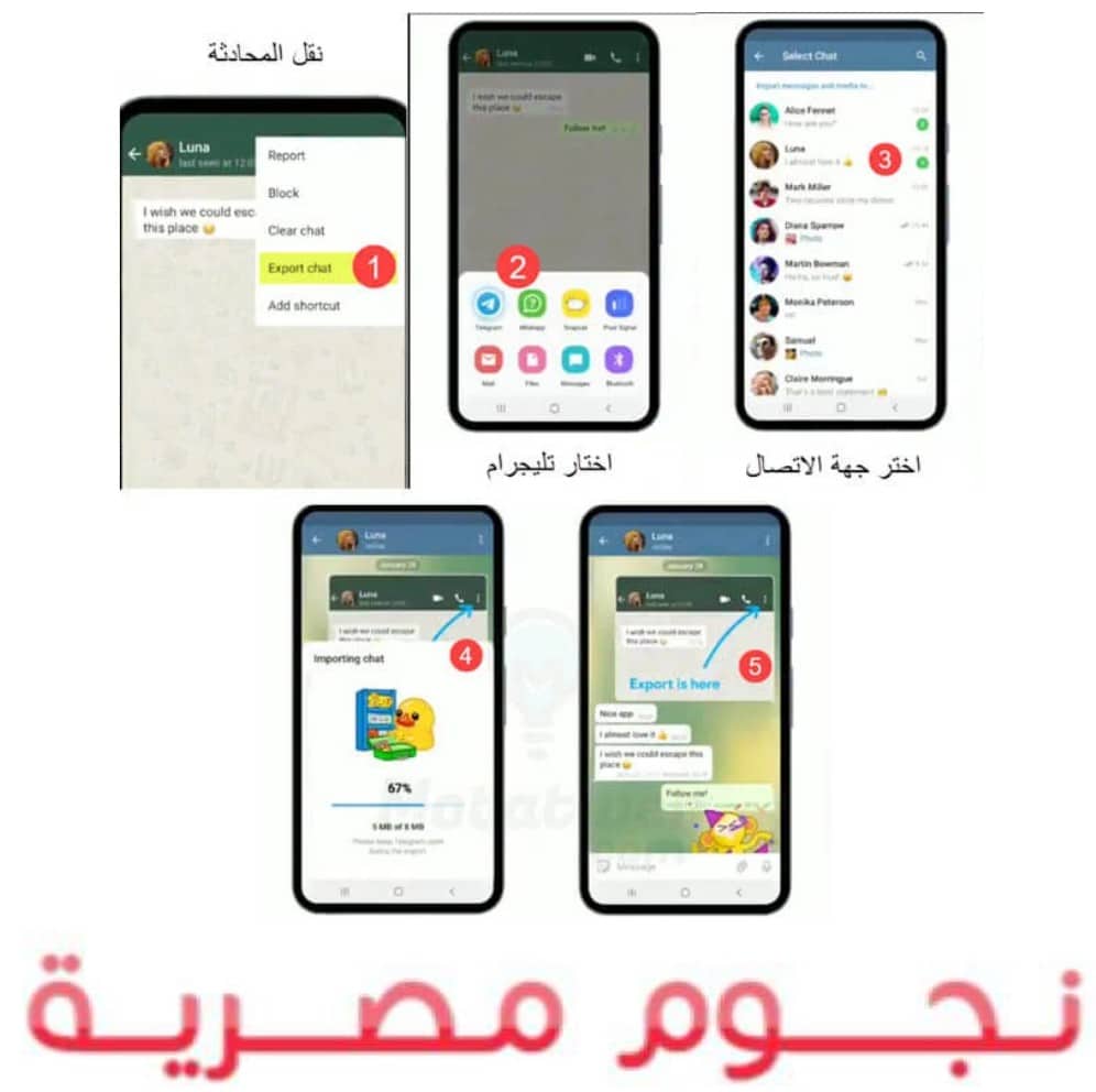 خطوات نقل محادثات الواتساب WhatsApp إلى تطبيق التيلجرام