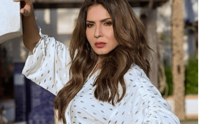 نجلاء بدر 