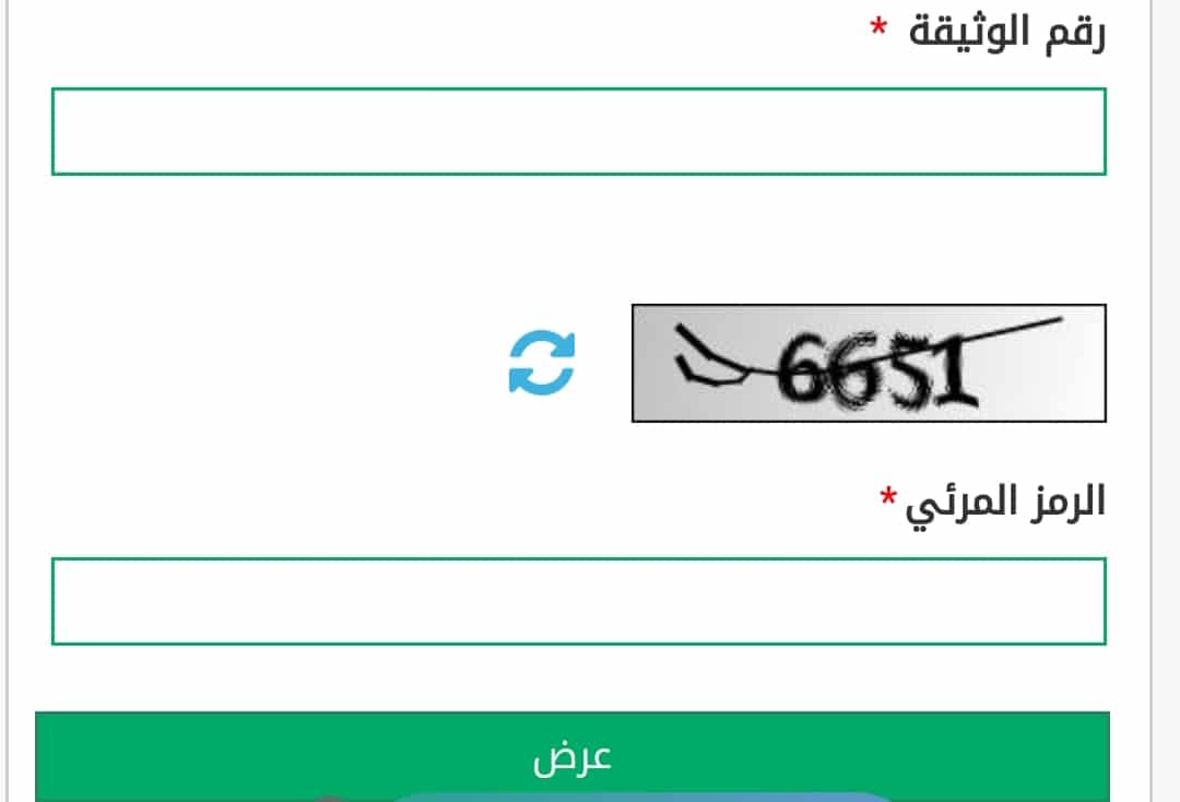 صورة 6