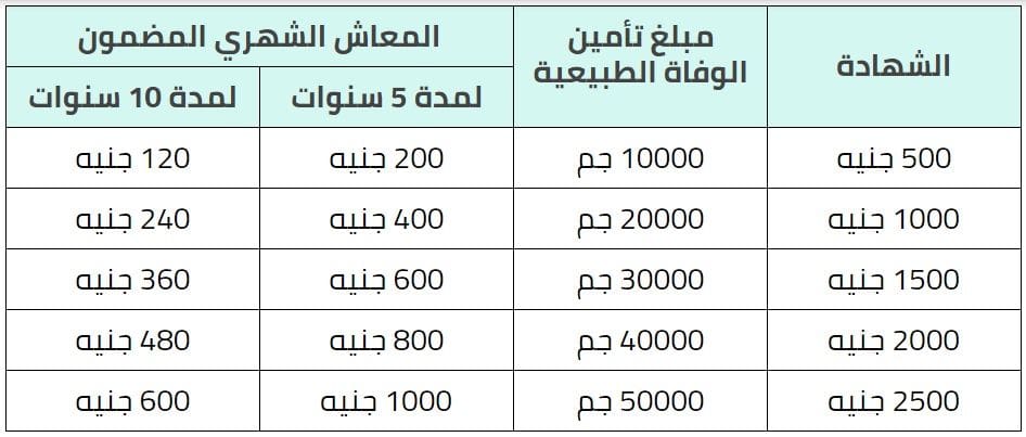 خطوات الاشتراك في وثيقة التأمين على المصريين في الخارج وشروط التس