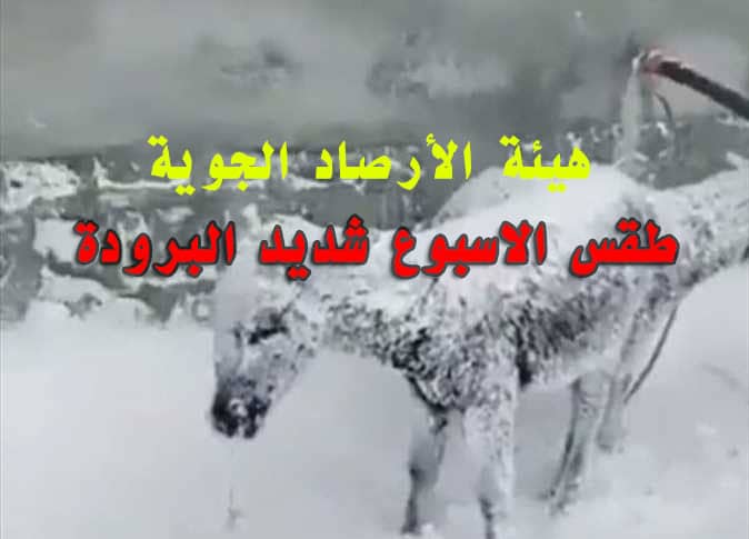 هيئة الأرصاد الجوية