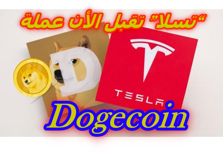 Tesla Dogecoin