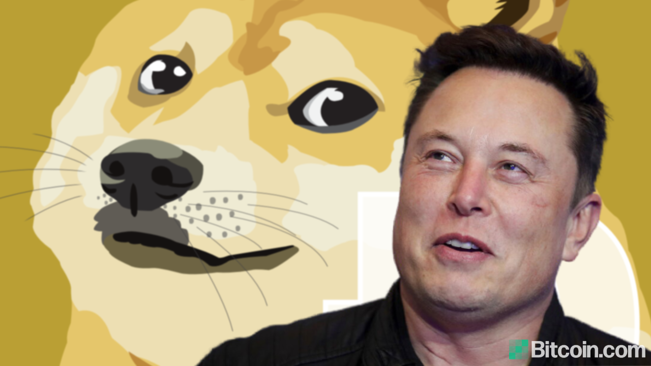 Tesla Dogecoin