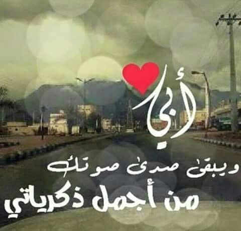 صورة 7