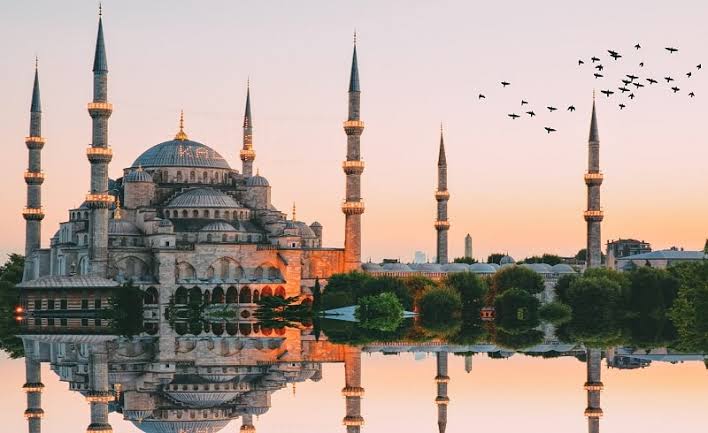 أكواريوم الحديقة المائية