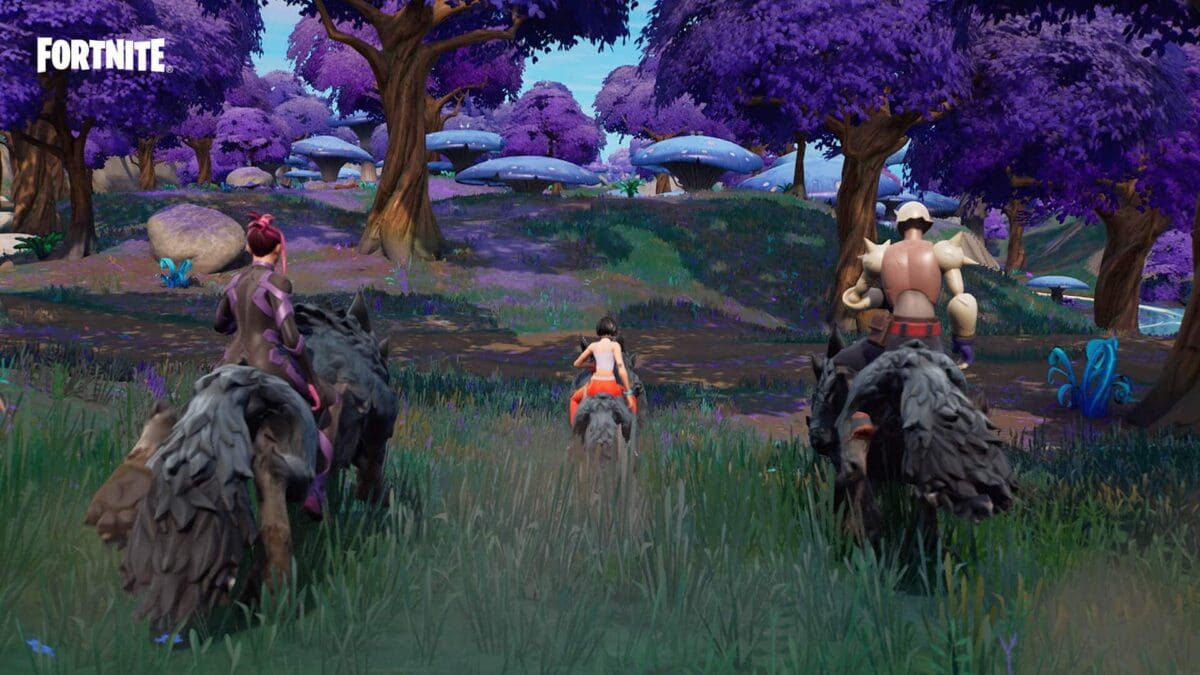 حسابات فورت نايت للبيع نادرة