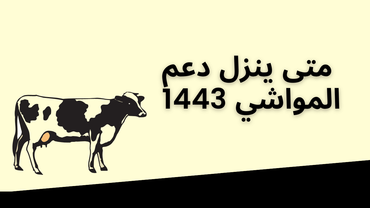 متى ينزل دعم المواشي
